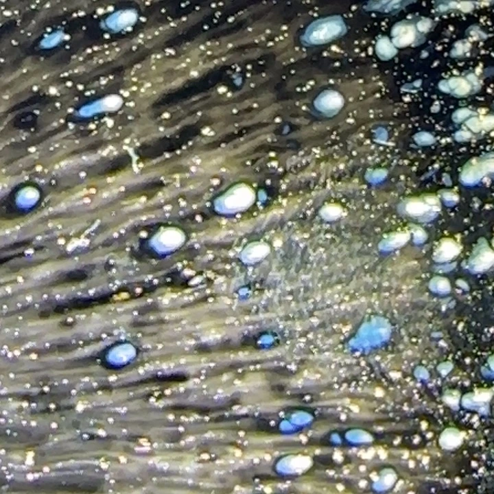 茶盏玲珑剔透之气的同时却不忘自己