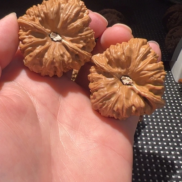 核桃文玩核桃产地发货