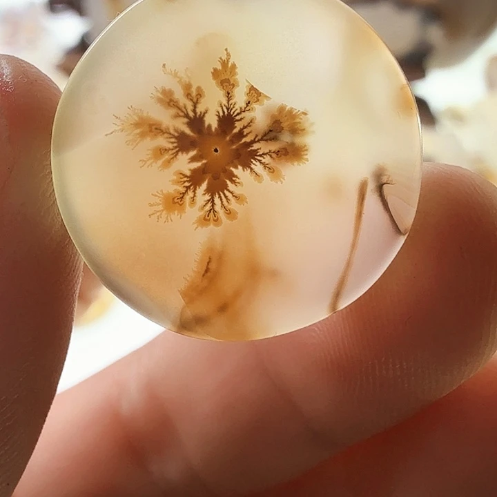 未镶嵌玛瑙/玉髓珠宝半成品