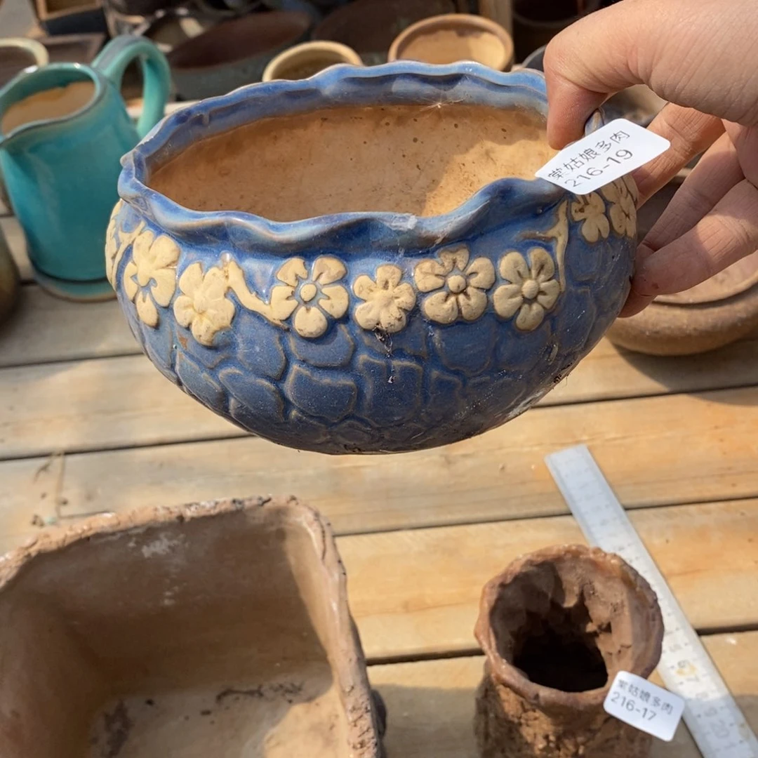 红陶明*19号多肉盆一个呀