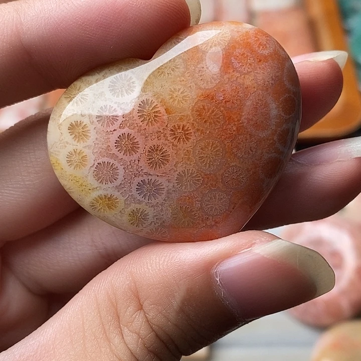 ****月硅化玉未镶嵌颈饰