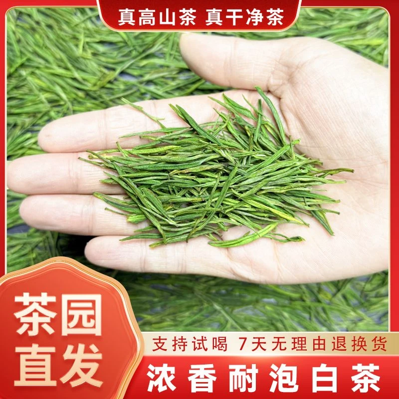 【浓香耐泡】梵净山白叶一号绿茶高山云雾干净白茶贵州高山直发