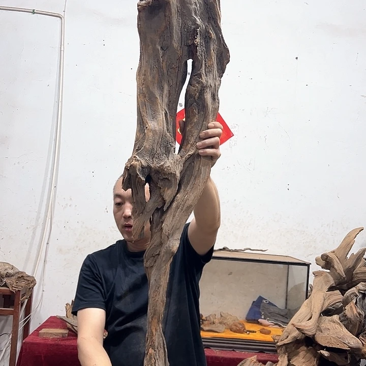 柏木刘*敏我们都是好孩子呀我也是