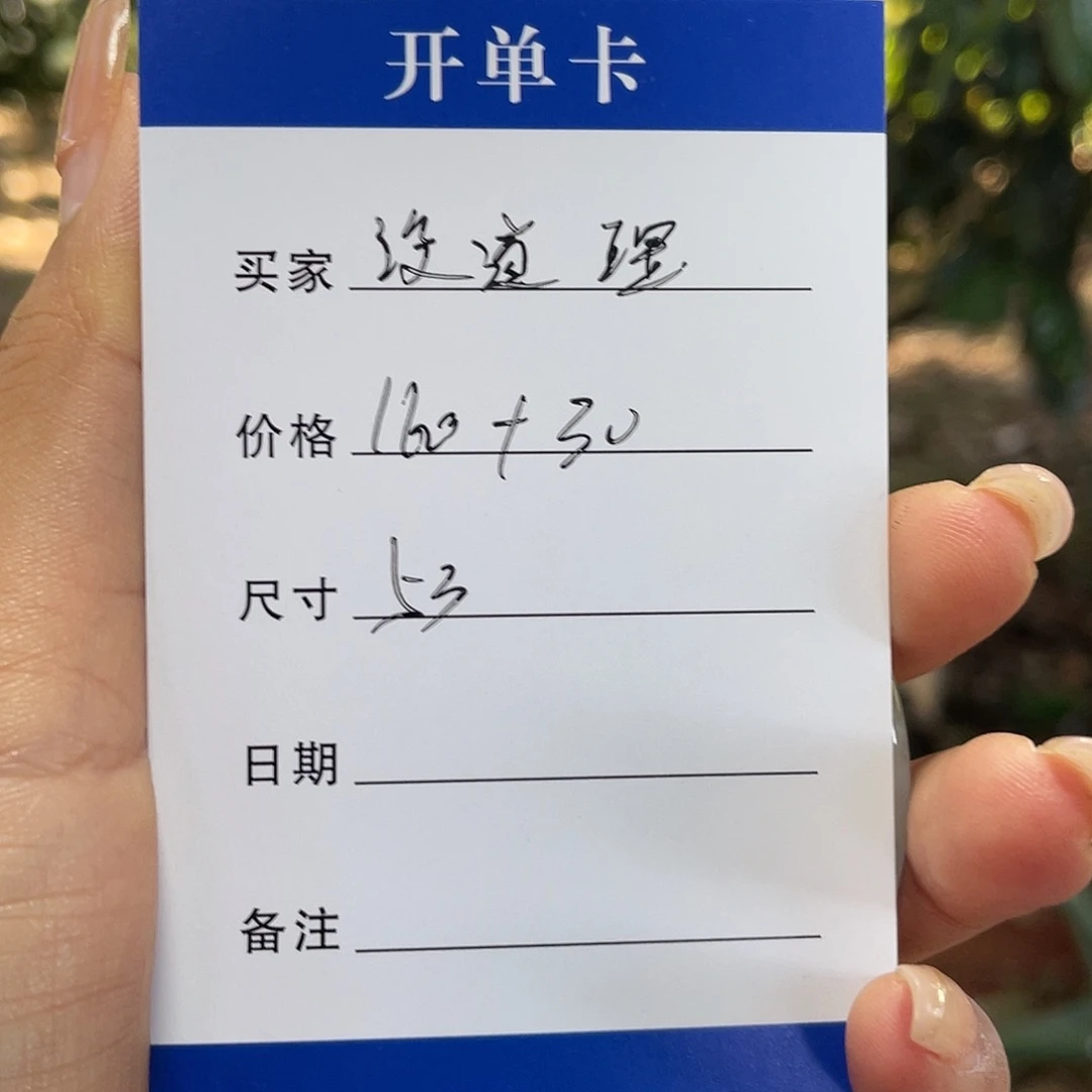 没***理非金属所见皆所得