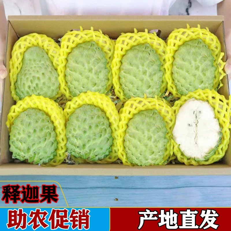 【夏果会开裂】促销广西热带水果牛奶凤梨释迦果鲜果稀有现摘现发