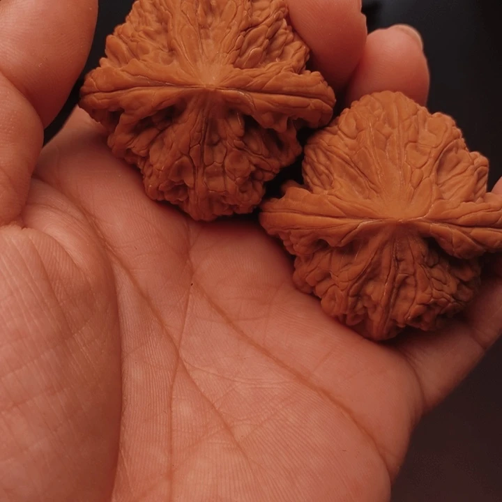 沧***y核桃虎头王45尺核桃