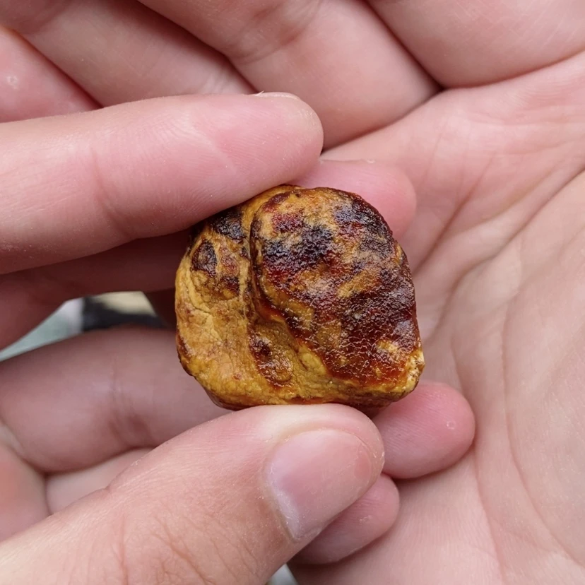 【闪购商品】定制琥珀未镶嵌用****6蜜蜡