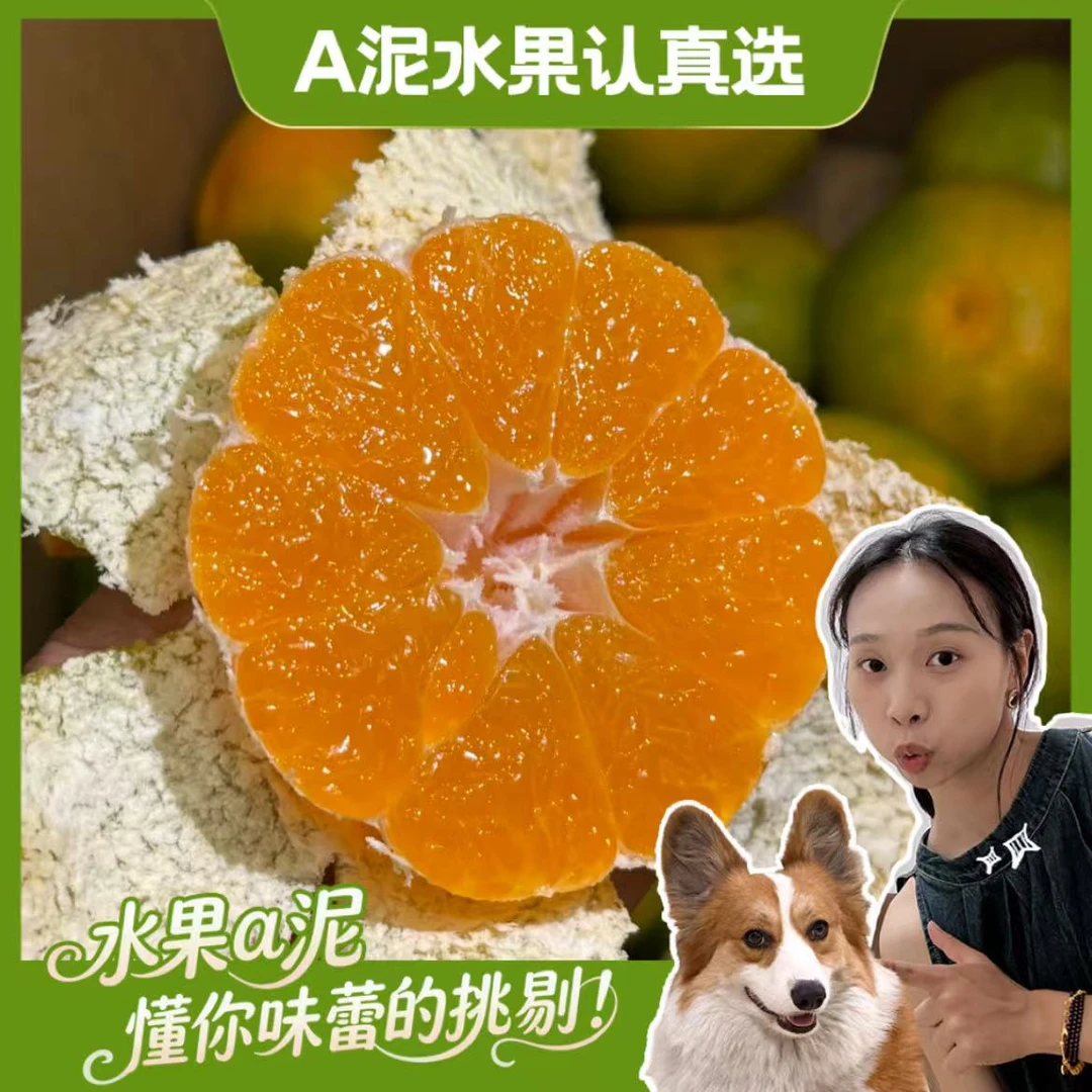 江西寻乌蜜桔 清甜皮薄无籽无渣4.5斤装【顺丰包邮+产地直发】