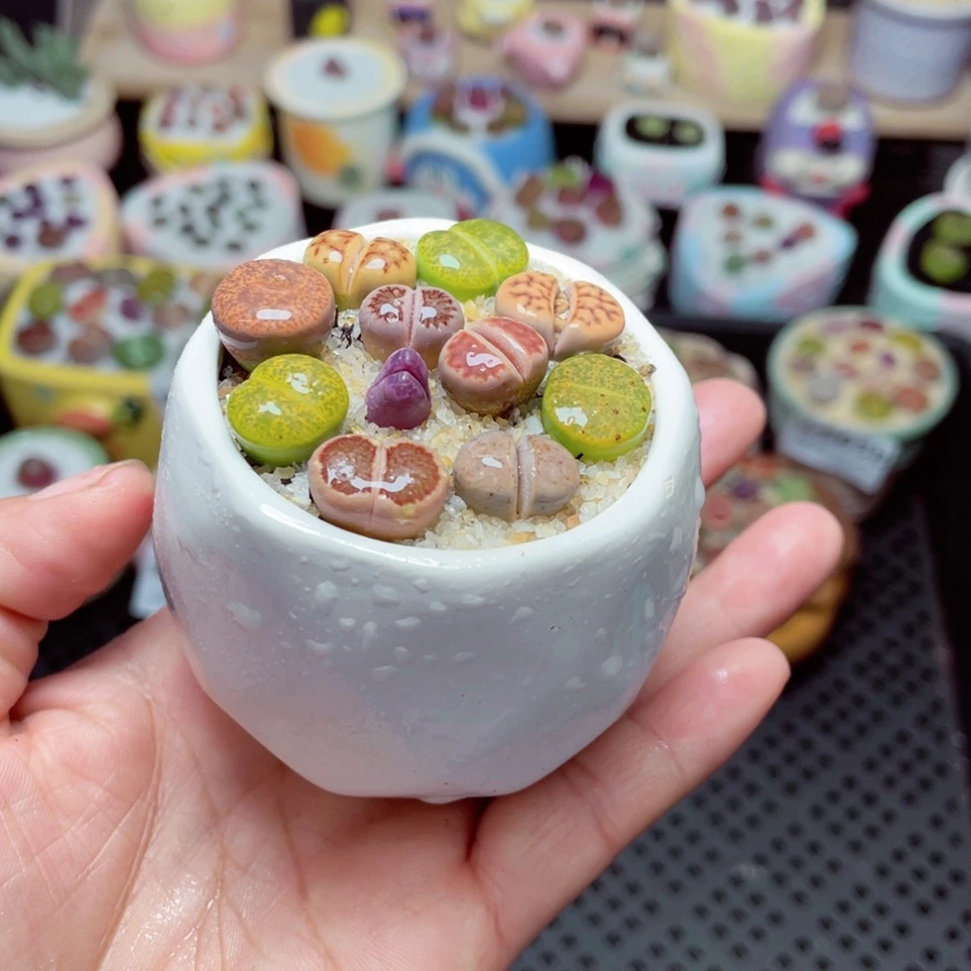 w5644 -零下地区拍保温箱-15支持寄养