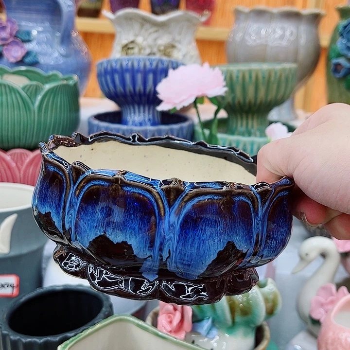 多肉植物陶瓷花盆