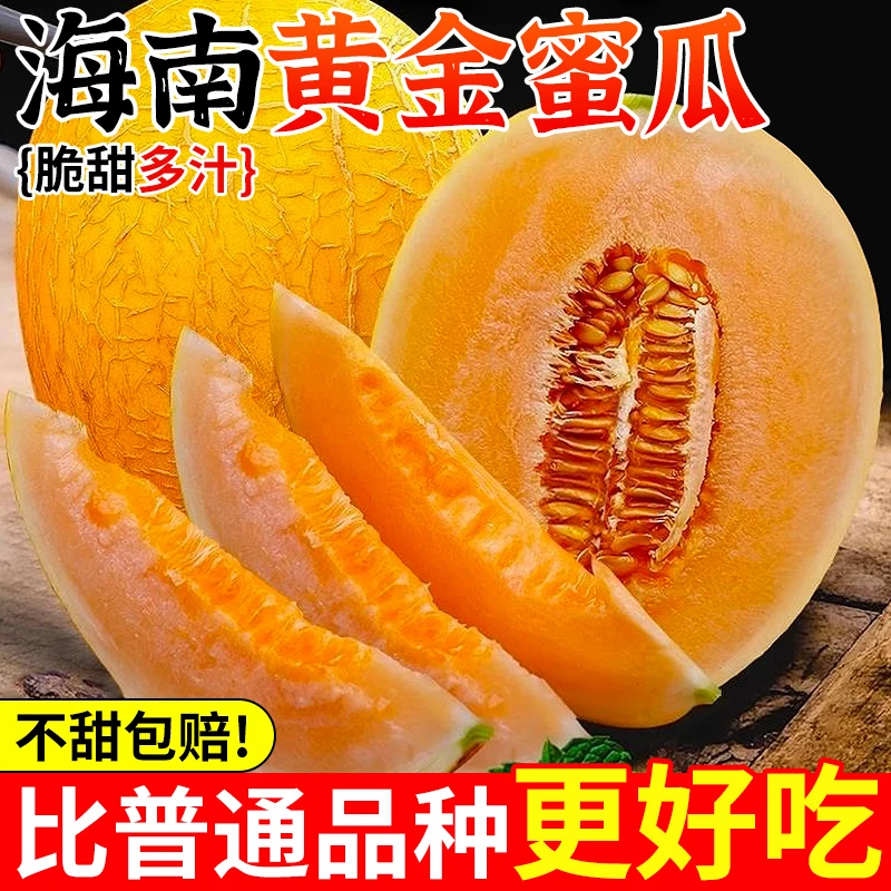 海南黄金超大蜜瓜3斤新鲜水果当季网纹瓜黄河蜜瓜脆甜香瓜整箱