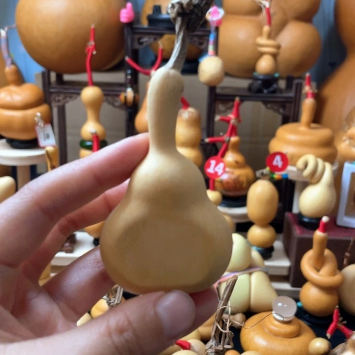不过这个节目还是很不错哒
