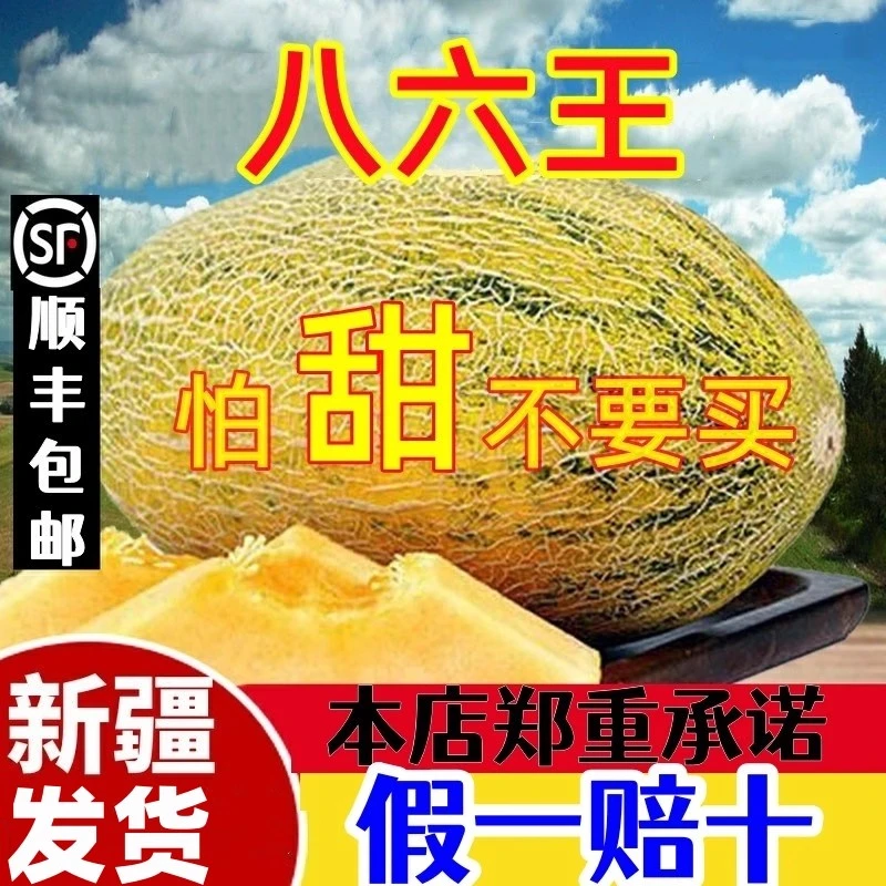 【新疆直发】正宗伽师瓜86王 新疆水果哈密瓜产地直发新鲜水果
