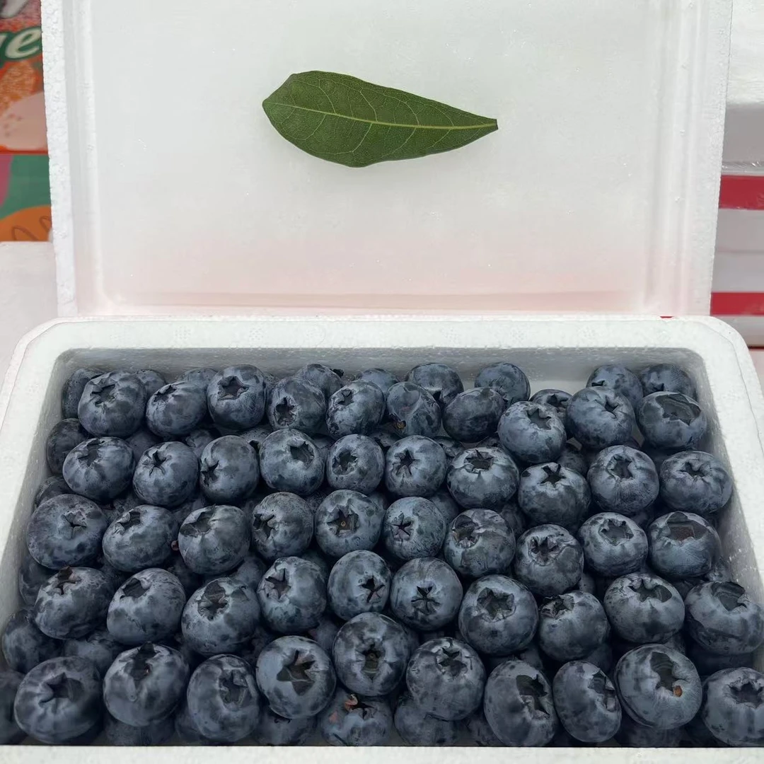 【纯甜】【Z】【新到好吃的蓝莓】（带箱450g） 仅限太原六城区榆次可拍