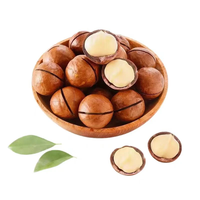 奶香味大颗粒夏威夷果饱满酥脆休闲零食赠送开口器