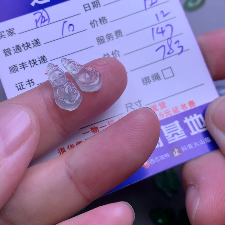 颈饰未镶嵌翡翠羽*