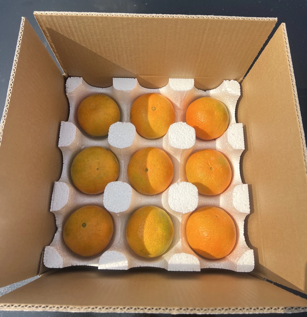 红美人果冻橙礼盒装，皮薄多汁，顺丰包邮