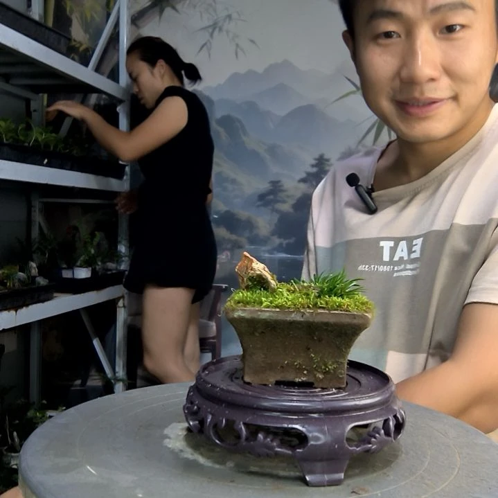 林*火中青园艺一物一拍128