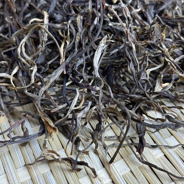 蟒蛇箐2023年春尾【大树】散料100g