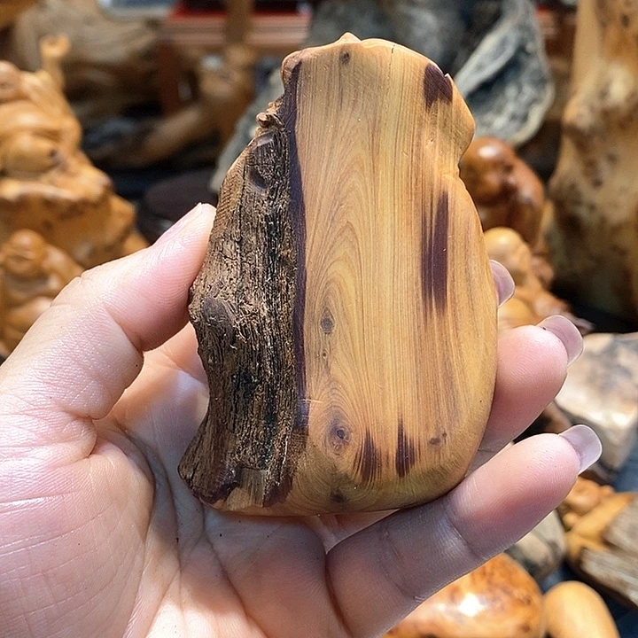 柏木（崖柏）洞*太行崖柏