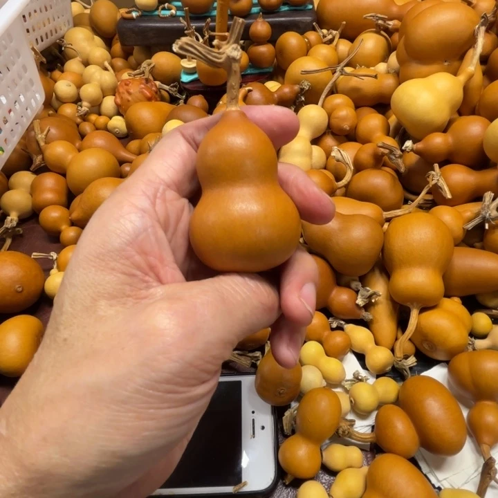 荧*干净严姐的一把胖墩葫芦迎接