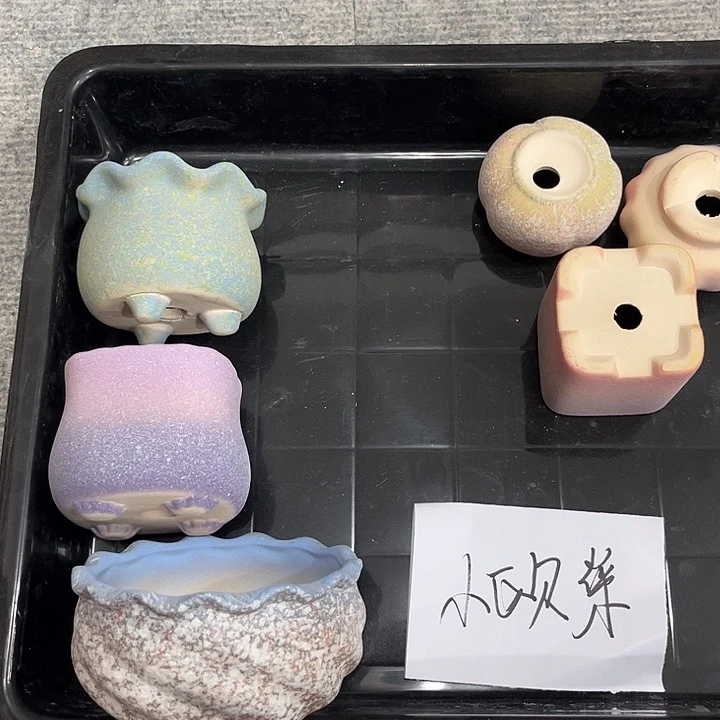 陶小欧菜小姐姐专属