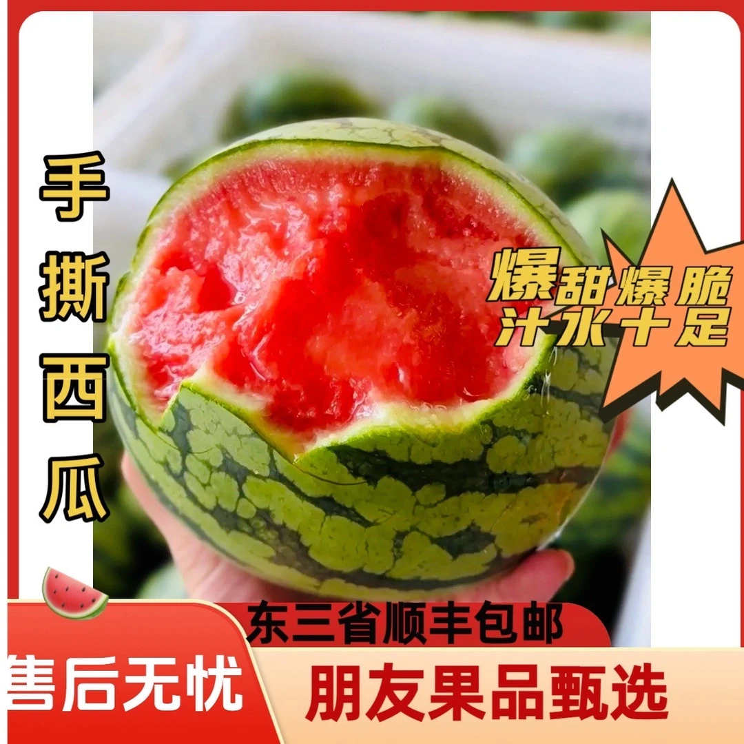 【手撕小糖丸西瓜3-4斤】东三省顺丰包邮新鲜云南省