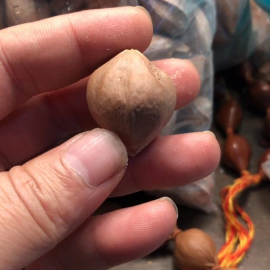 吊坠橄榄核A***t