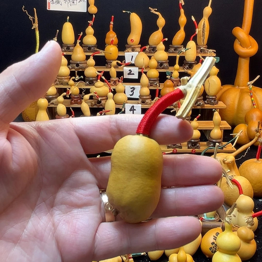 孙***宝天然葫芦，不退不换