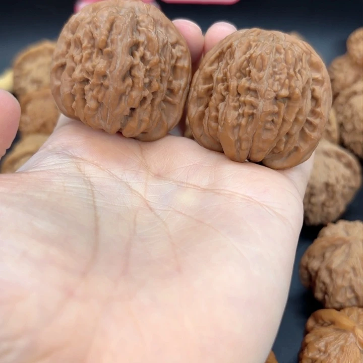 41四座楼全品无修全品无修