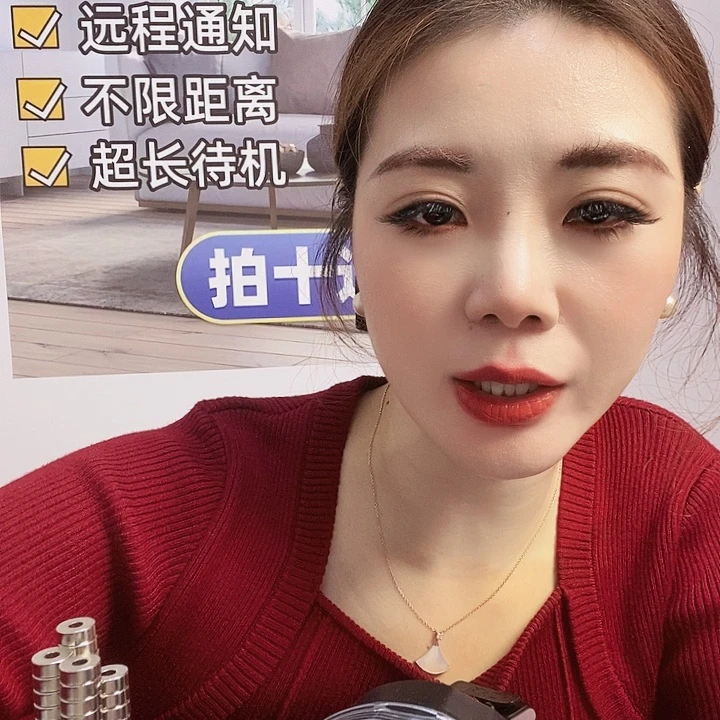 木带录音芯片深山款10个