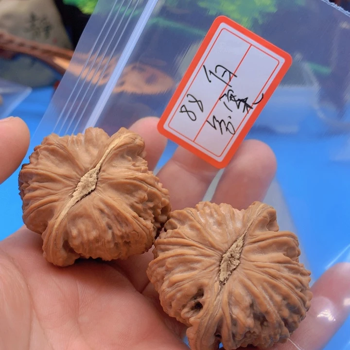 文玩核桃把件答*.白狮子