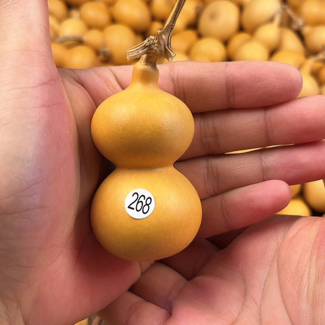 五葫芦葫芦葫芦葫芦 268