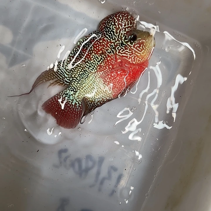 海水啊啊啊啊啊啊啊啊