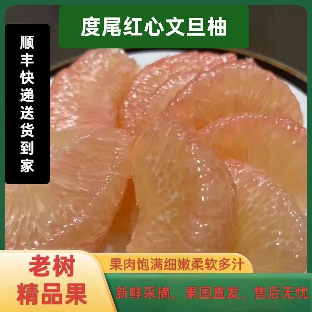 《表嫂专属》福建仙游度尾文旦柚新鲜当季应季孕妇水果酸甜多汁