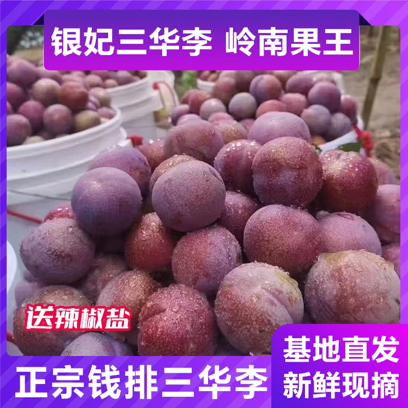 正宗广东茂名钱排新鲜红心三华李大果当季孕妇水果酸脆李子芙蓉李