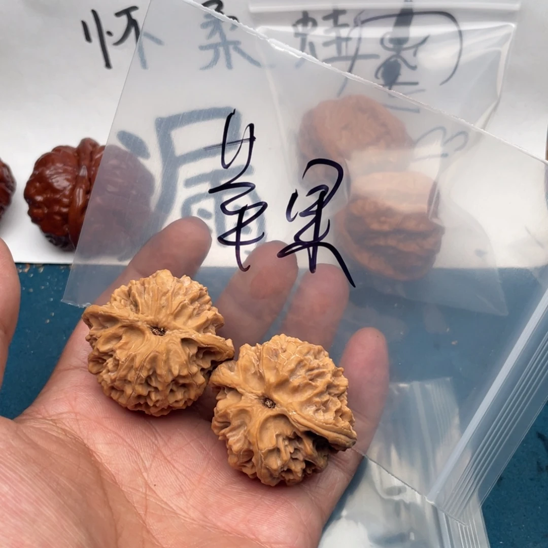 核桃W64969469464947749974