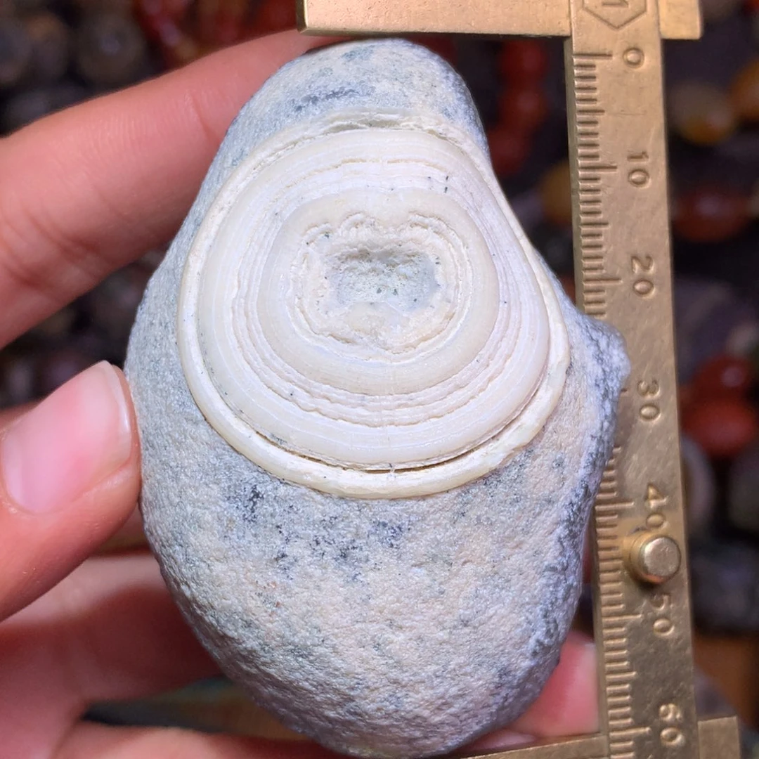 未镶嵌玛瑙/玉髓珠宝半成品