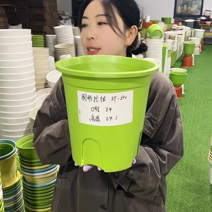 正品圆控口24高24果绿8只无托