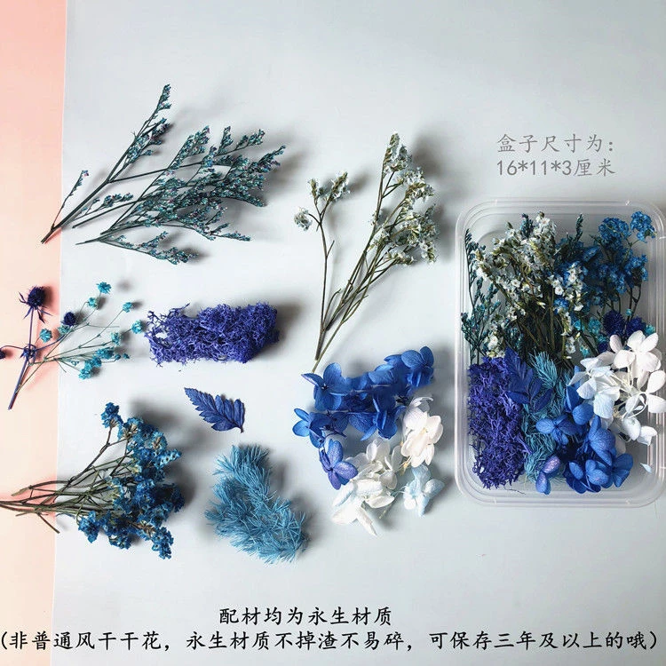 永生花雏菊满天星干花花材包浮游花压花幼儿园手工花艺diy材料包