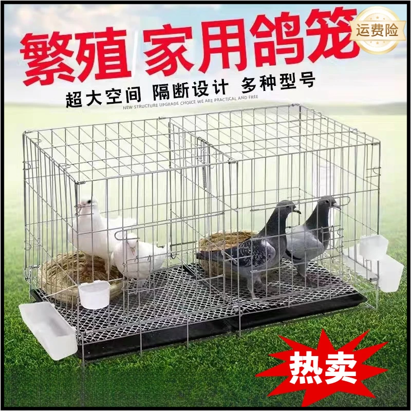 鸽子笼家用养殖专用笼鸽子笼鸽子笼大号家用带隔断繁殖养殖鸽笼子