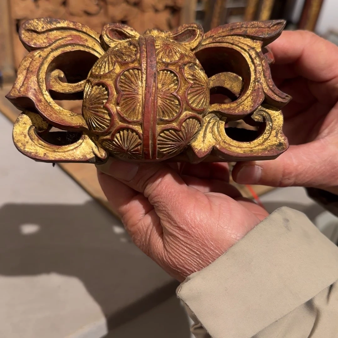 香榧木一一一一一一一一