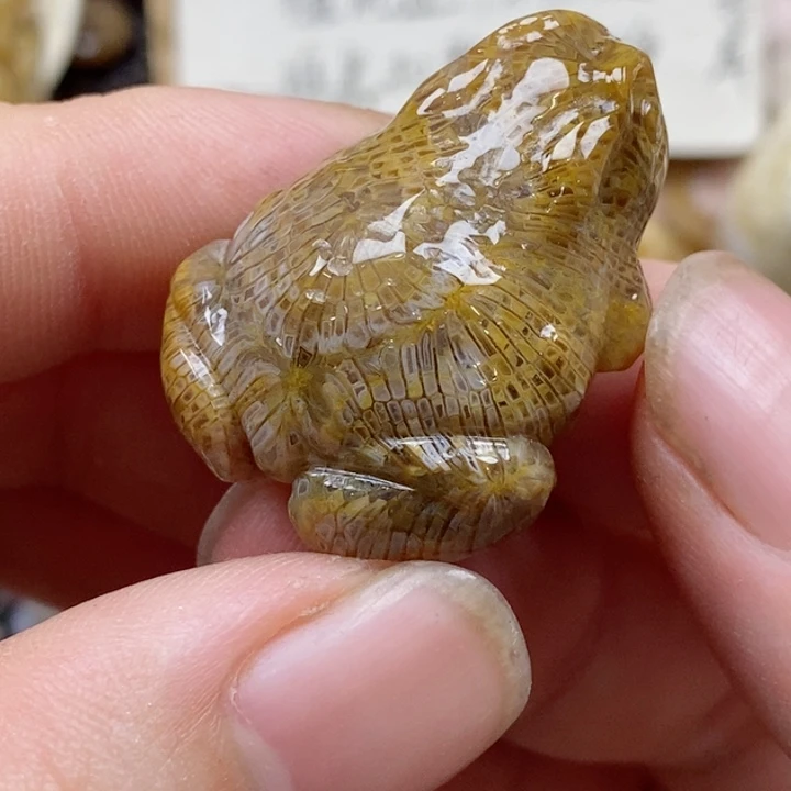 颈饰未镶嵌硅化珊瑚（珊瑚玉）