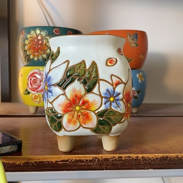 韩式多肉植物花盆