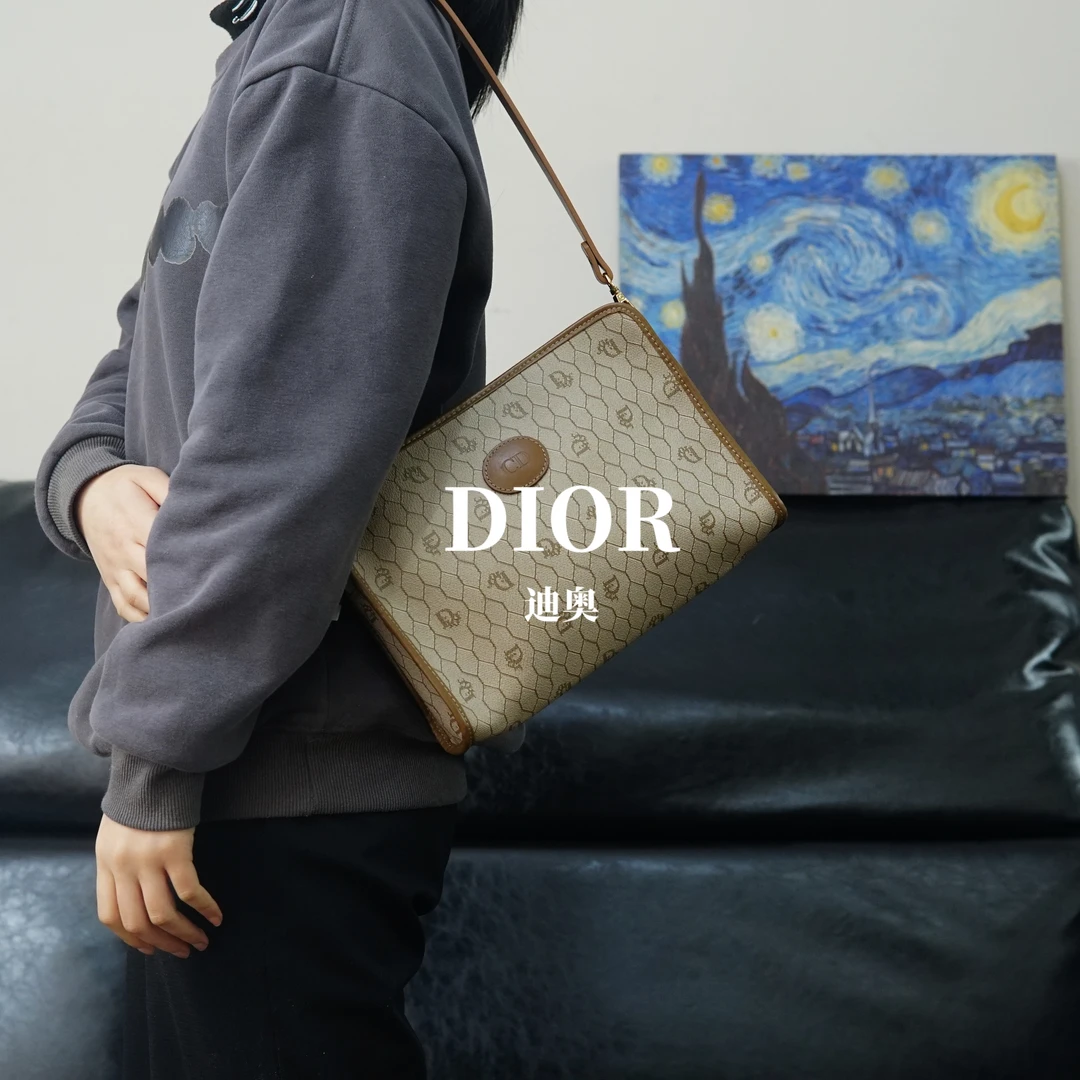 95新 DIOR/迪奥 老花单肩包/ZG02506583/6583