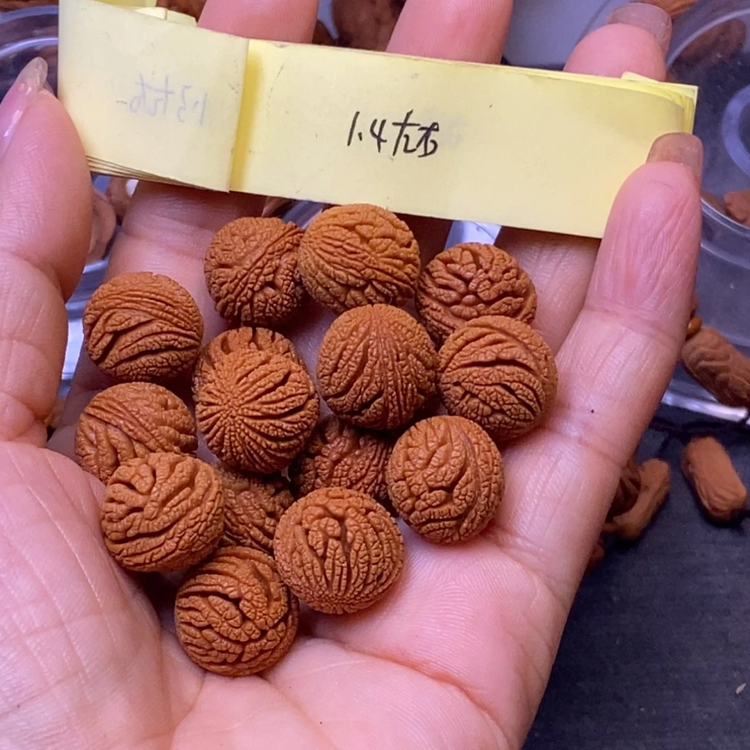秦岭龙纹桃核手串16颗