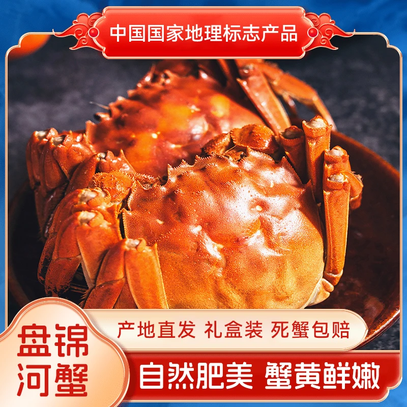 【全母活蟹】丰享盘锦河蟹母蟹0.8-1两顺丰包邮20+10只