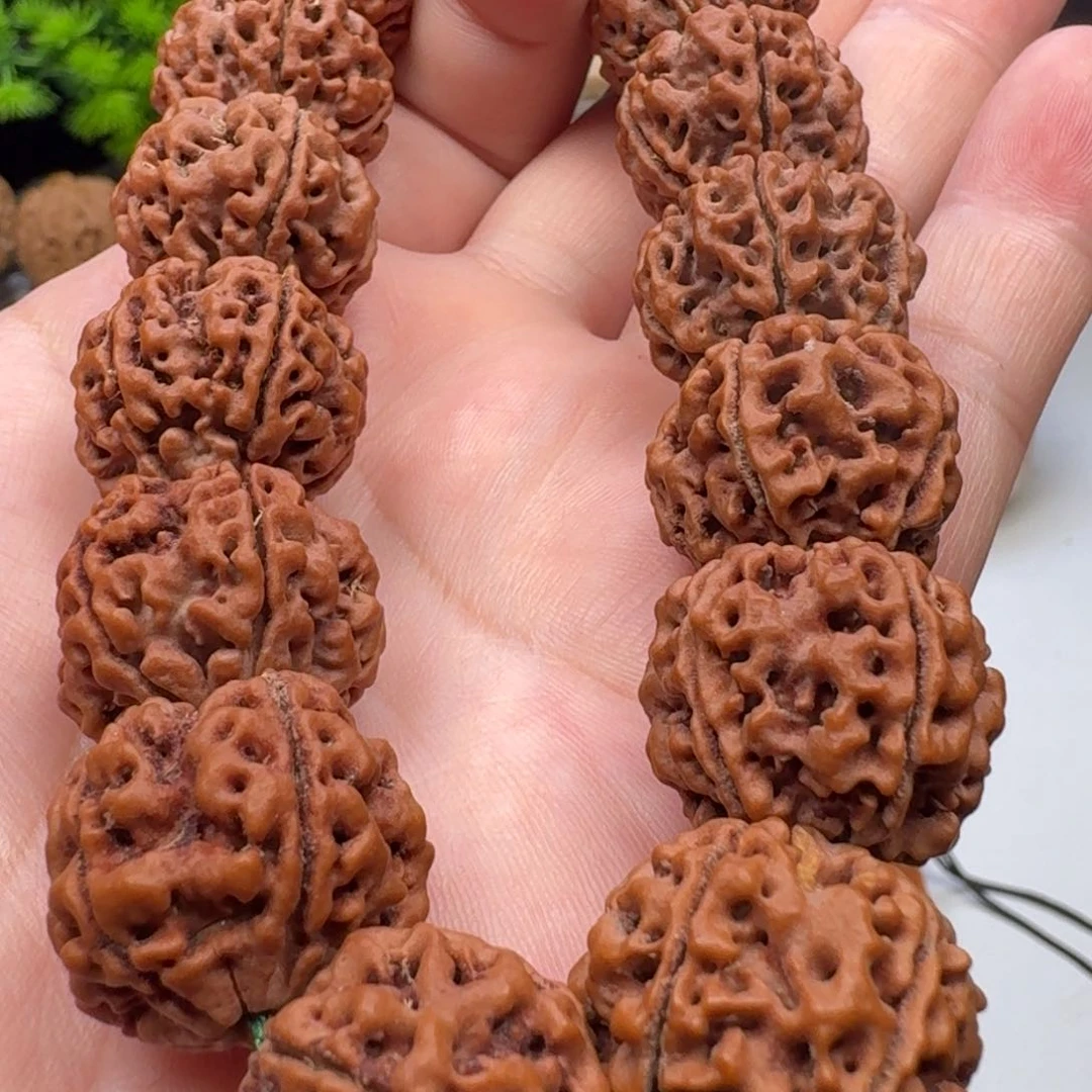 金刚菩提手串粗筋蜂窝