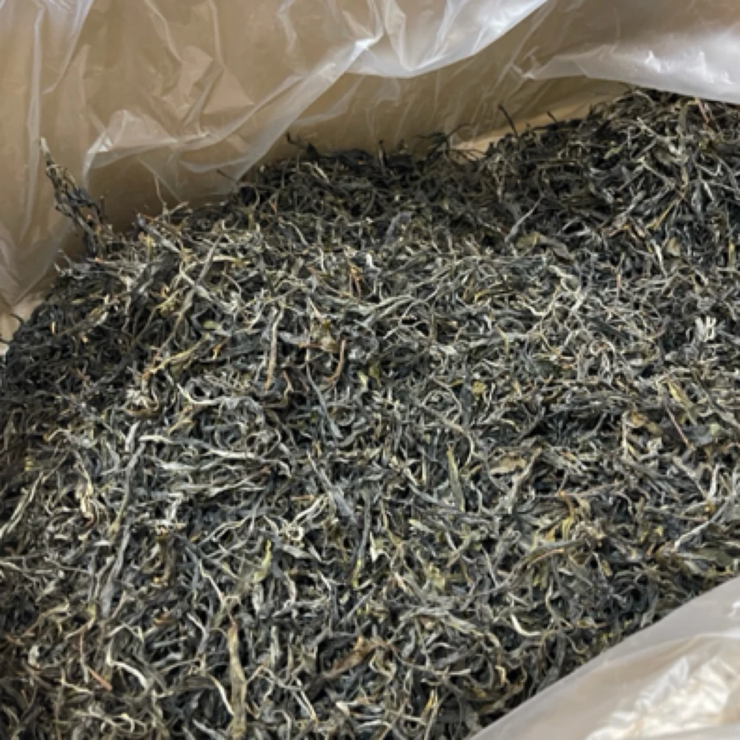 2021年一扇磨头春古树普洱茶生茶饼茶