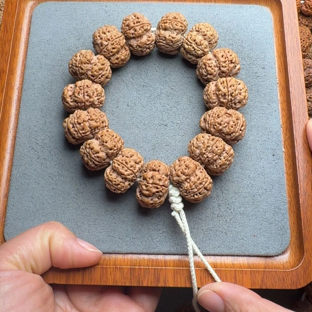 菩提菩提16号尼泊尔大金刚25夹板梅花